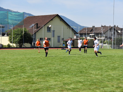 DSC_0619.jpg